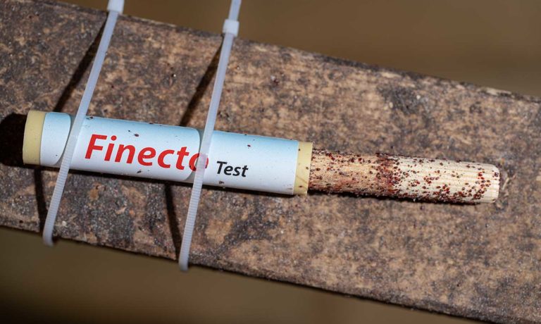 Bloedluist test kip najaar