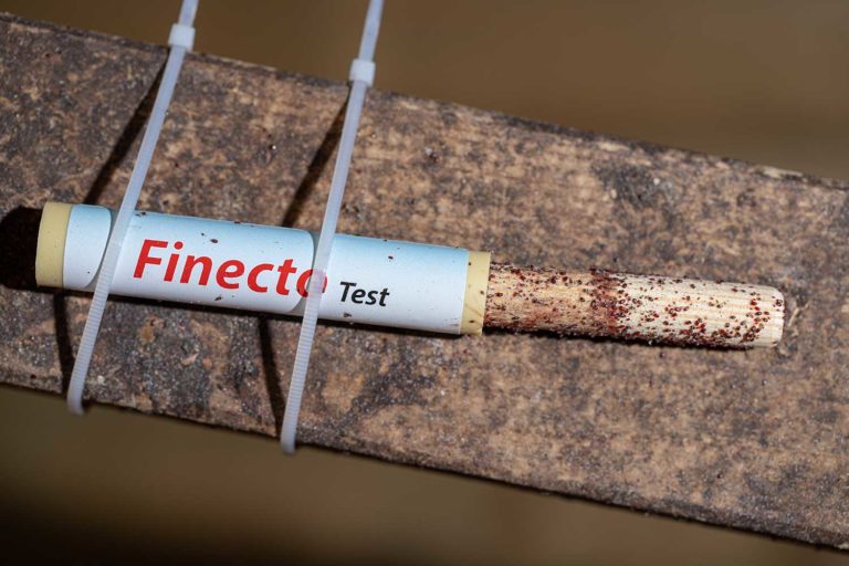 Bloedluist test kip najaar Bloedluist test kip najaar