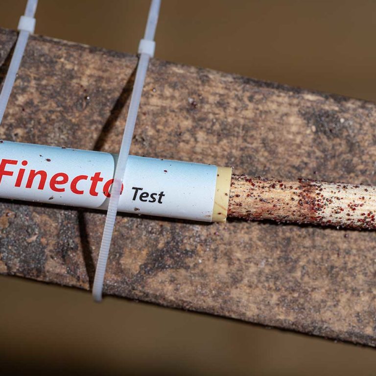 Bloedluist test kip najaar Bloedluist test kip najaar