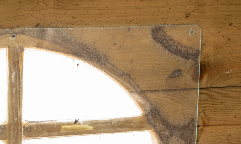 Bloedluizen verstoppen zich Bloedluizen verstoppen zich