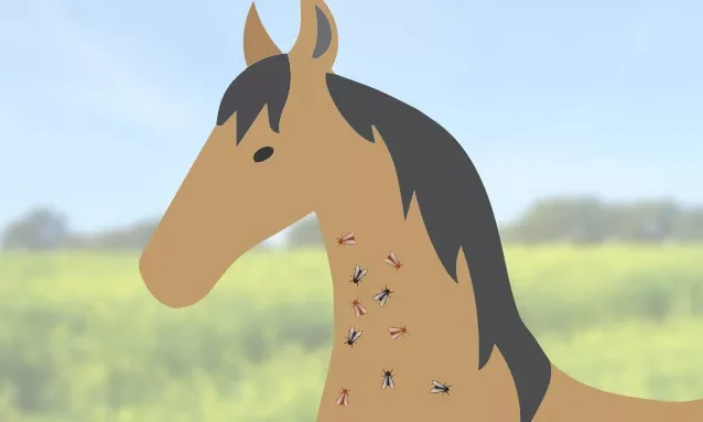 Hoe-je-je-paard-tegen-dazen-en-vliegen-beschermt Hoe-je-je-paard-tegen-dazen-en-vliegen-beschermt