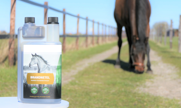 brandnetel bij zomereczeem paard brandnetel bij zomereczeem paard