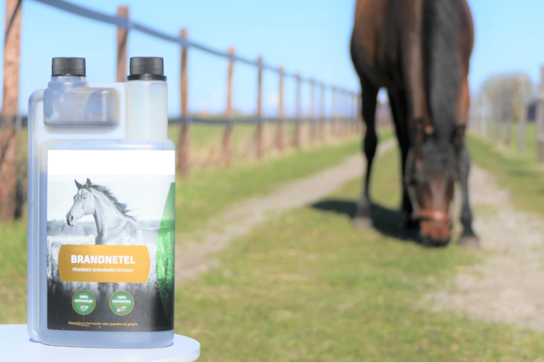 brandnetel bij zomereczeem paard brandnetel bij zomereczeem paard