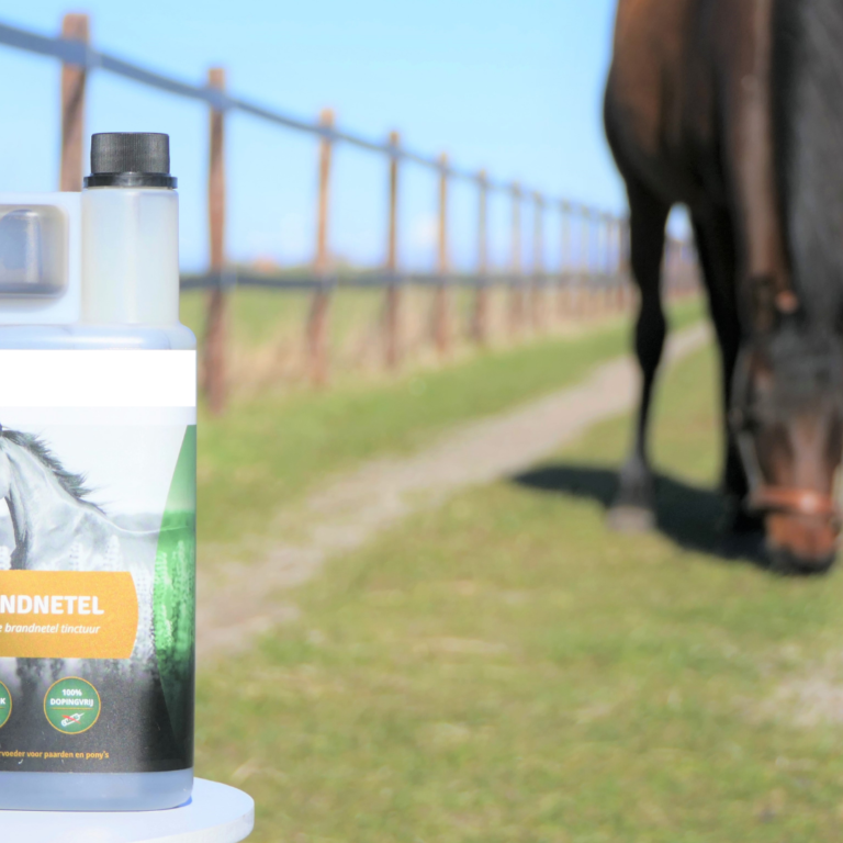 brandnetel bij zomereczeem paard brandnetel bij zomereczeem paard