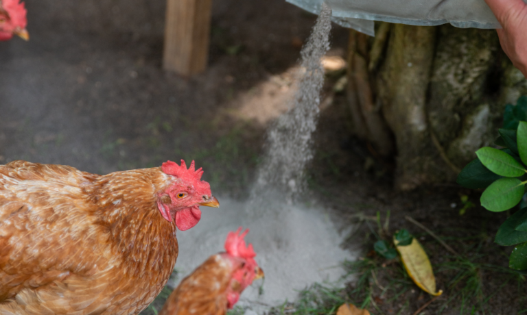 Finecto SQUARE templates (16)