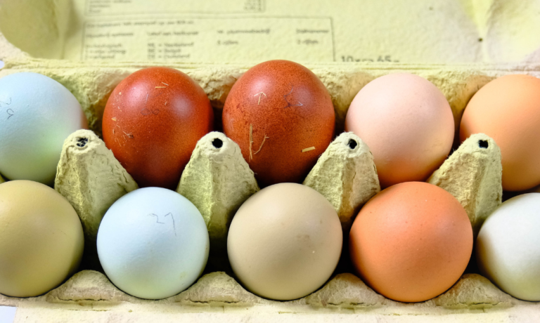 Finecto SQUARE templates (20)