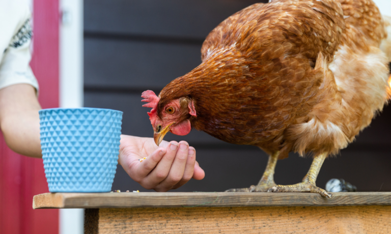 Ontwerp zonder titel (37)